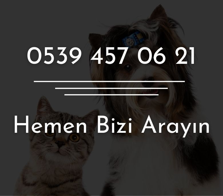 0539 457 06 21